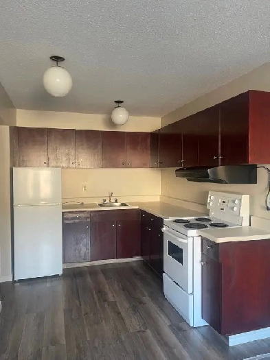 FOR RENT 1 bd apartment - 11916-105 St  Edmonton, AB