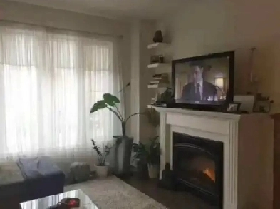 Modern Townhouse For Rent Near Woodbine Beach