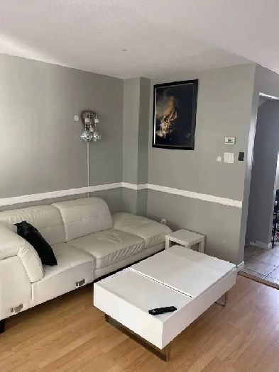 Spacious Room for Rent