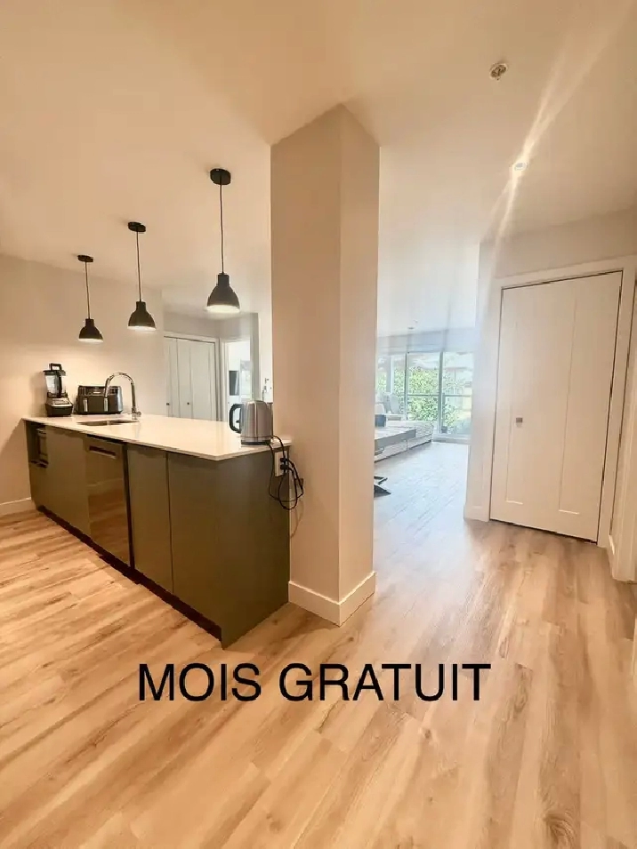5-1/2  MOIS GRATUIT