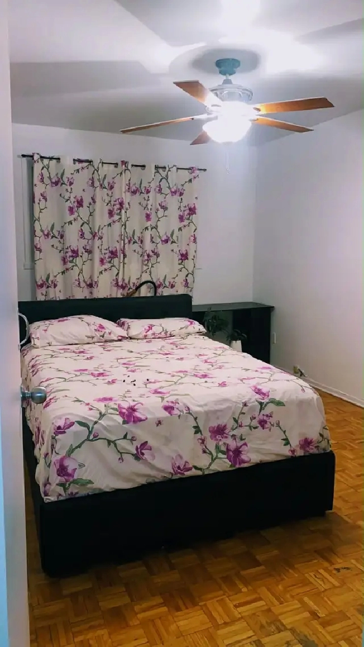 4 1/2 à Longueuil - Rue Cartier