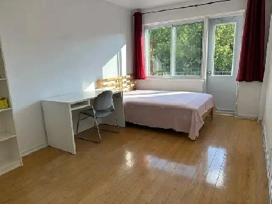 Downtown Near McGill All Included Furnitured Studio for Rent !!