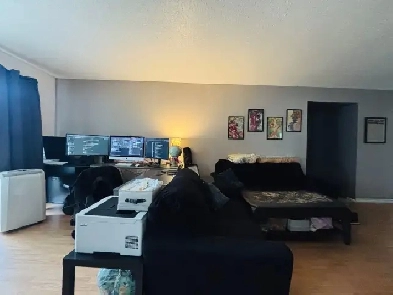Appartement 4 ½ à louer Sainte-Foy / Sillery décembre 2026