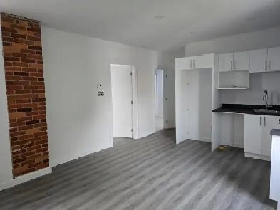 5 1/2  à louer au Plateau Montreal / chambre  / student / room