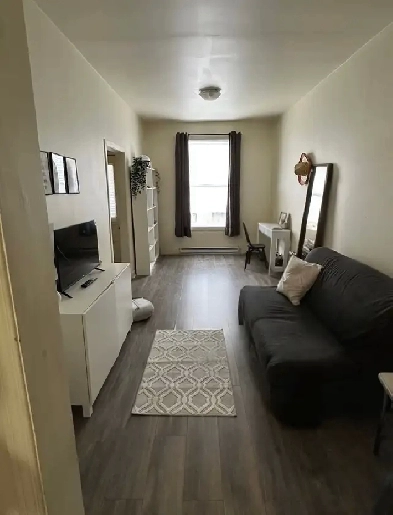 Appartement 3 1/2 - Hochelage maisonneuve