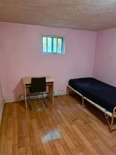 All Female Student Dorm @Seneca(Newnham)-Available NOW