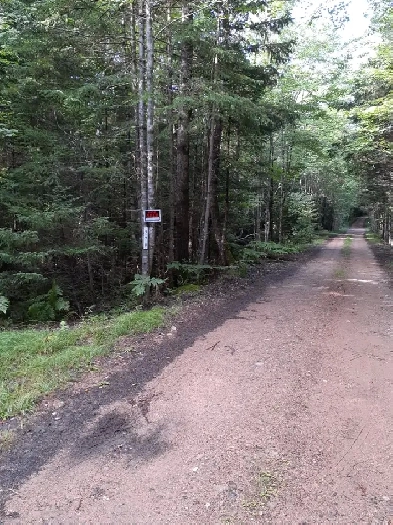 Land 5.2 acres w/12'x16' Building East Dalhousie NS