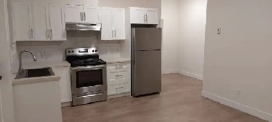 2 Bedroom Basement Suite (146 St/55 Ave) Surrey