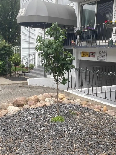 Two bedroom apartment for rent