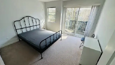 Private room available with Indian Girls