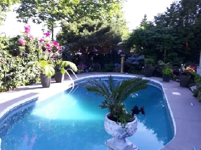 queensize  room  quiet and private  3000 sq  foot home