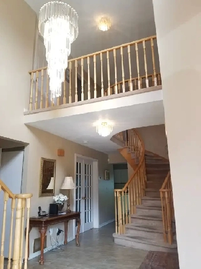 Nice and bright room in Orleans!