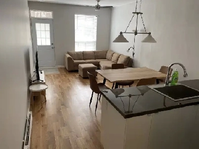 Fully furnished 1 bedroom near metro