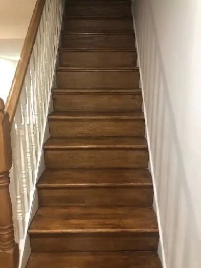 Basement to rent