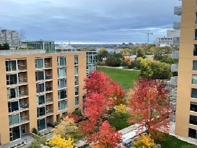 Downtown Ottawa,In-Unit Laundry,One Bedroom Condo,Indoor Parking