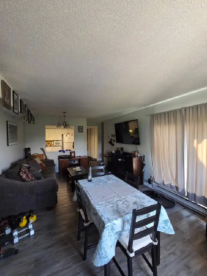 Spacious apartment for rent for female student/professional