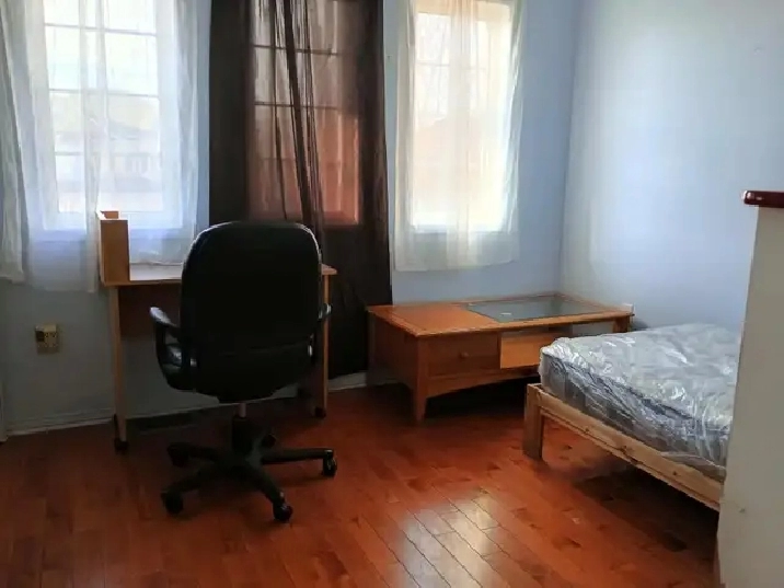 Photo 7