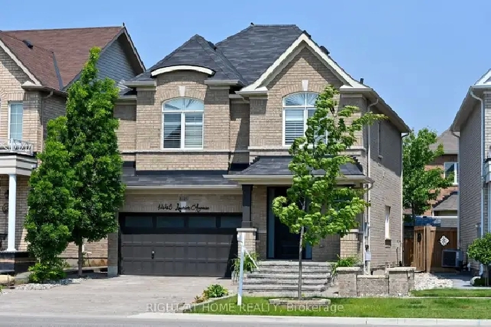 1 Bed 1 Bath Basement Available in Milton from Oct.1st 2026