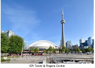 Furnished 2BD 2BA condo downtown Toronto / Available on Jan. 1st