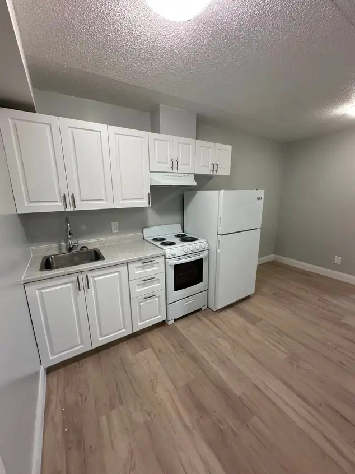 Newly renovated One Bedroom in Minnow Lake
