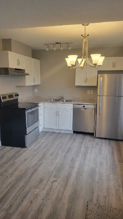 Newer built 4 plex close to downtown and schools, camrose