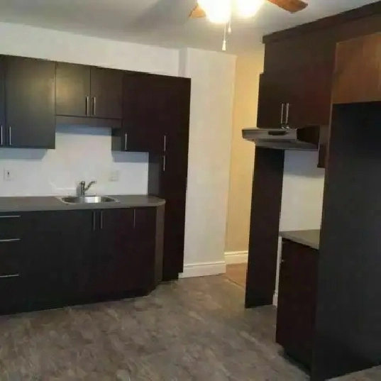 Très beau 4½ situé au début Charlesbourg, Libre
