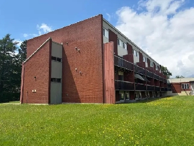 Très beau grand loft, grandeur 3 1/2 air ouverte Lévis