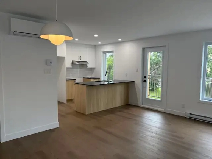 Magnifique 4 1/2, construction neuve, Vanier, libre