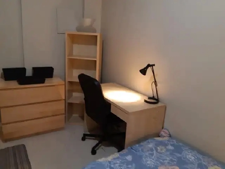 A Room Available for a University Female Student