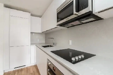 one bedroom-Gerrard St E and River St - ID 1447