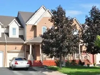 Mavis/Eglinton: One Bedroom new Basement available Sept 1st.