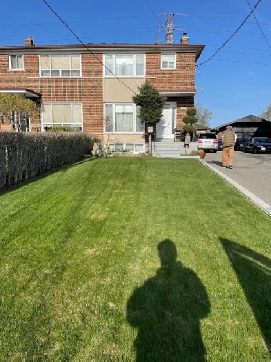 Cozy apartment for rent at Eglinton/caledonia area