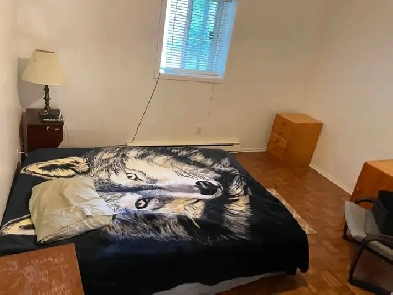 Chambre à louer