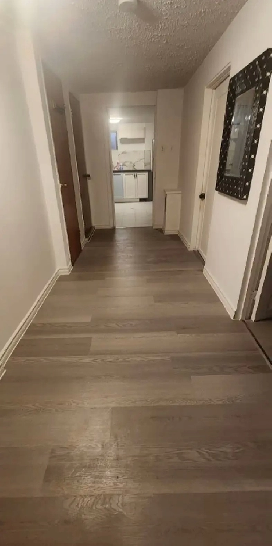 Basement room for rent