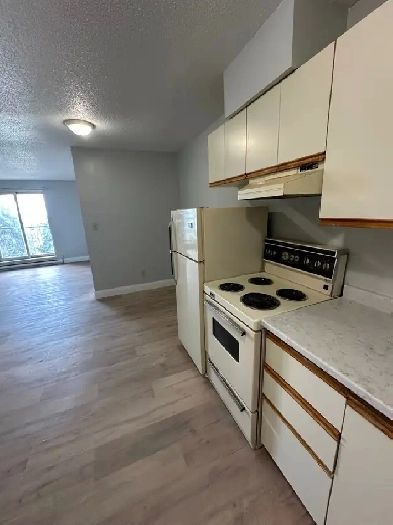 One Bedroom available now in Minnow Lake