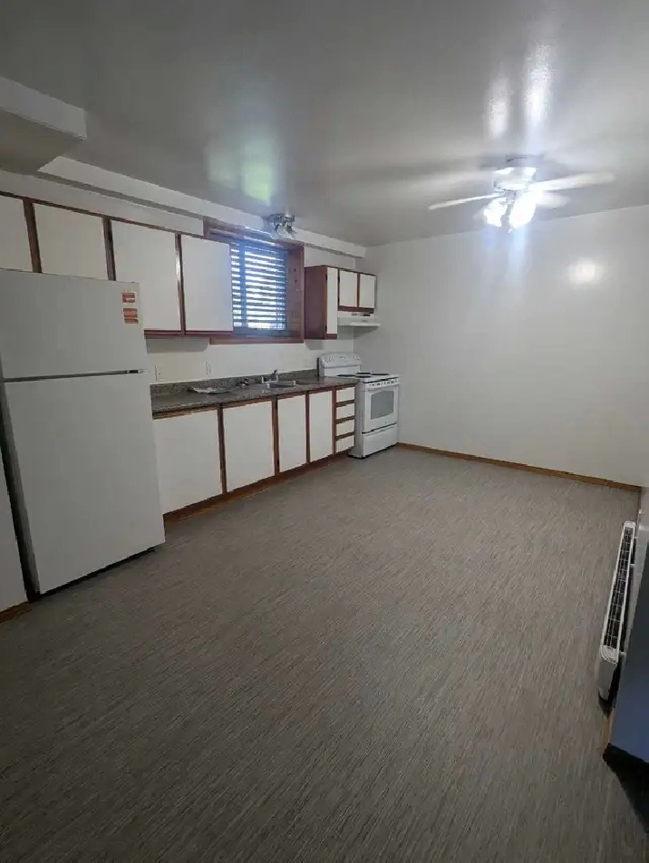 1 bdrm basement apt