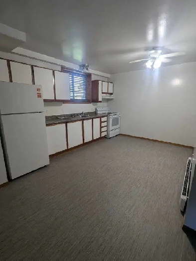 1 bdrm basement apt