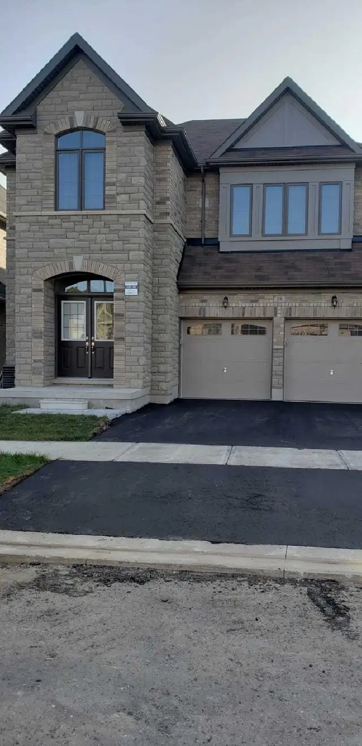 bachelor's basement for rent