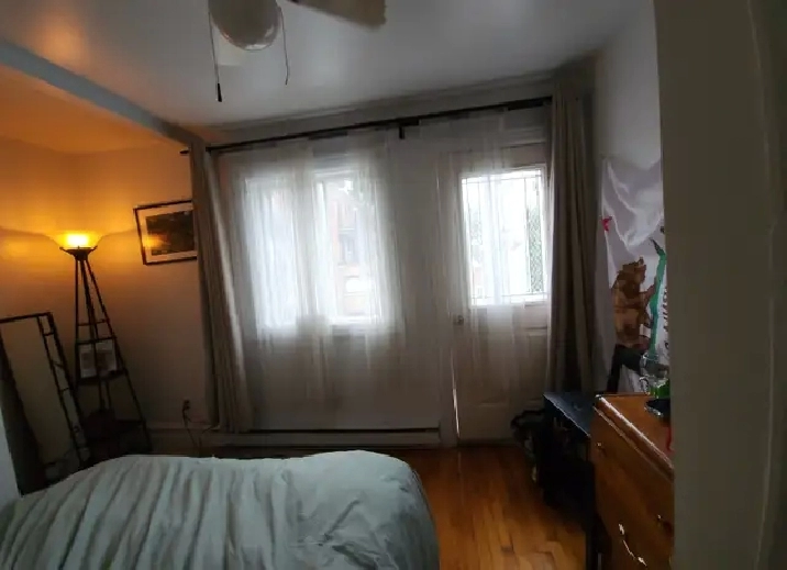 Photo 4