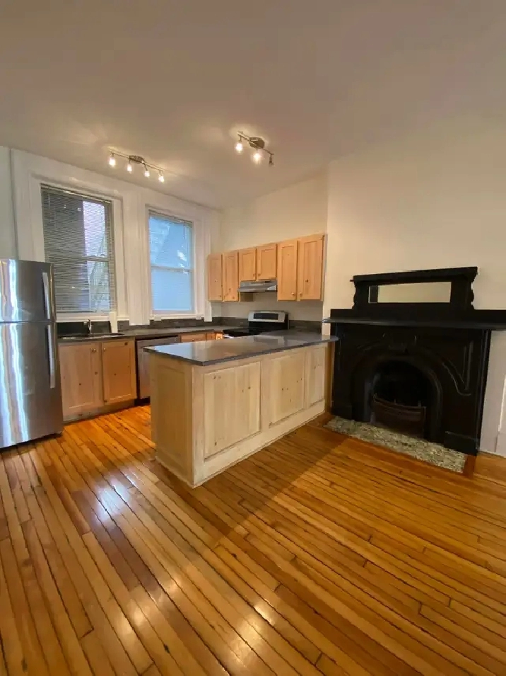 196-1 Princess St UPTOWN  3 Bedroom Heat & HW included