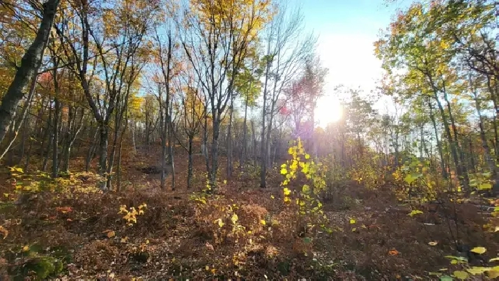 Vacant Land for Sale Val Caron (2.6 Acres)