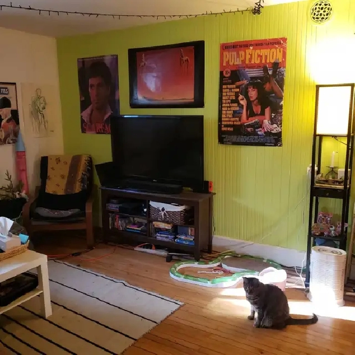 Photo 3
