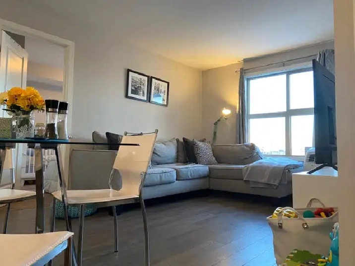 2 bed/2 bath Apartment in Harbour Landing- Oct 1