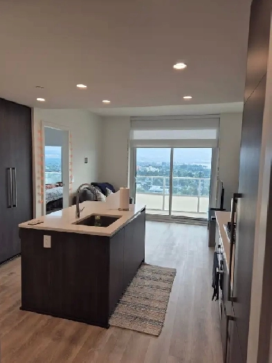Downtown Luxury Apartment for Rent