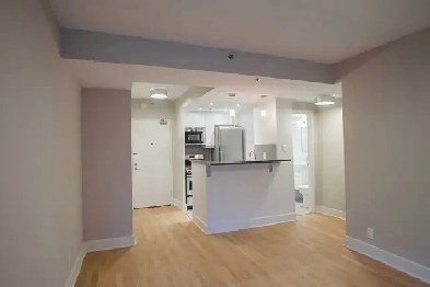 Renovated one bedroom apartment near McGill - ID 1089
