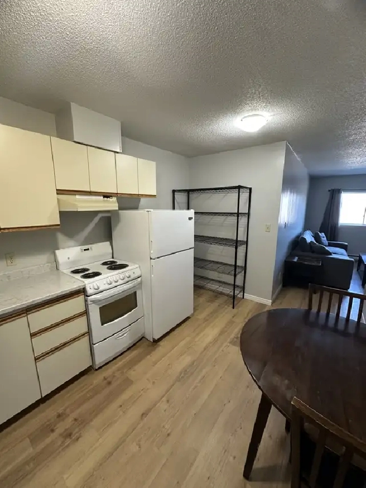 Bachelor Apartment Available October in Minnow Lake Area