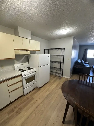 Bachelor Apartment Available October in Minnow Lake Area
