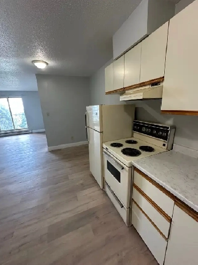 One Bedroom Available now Minnow Lake