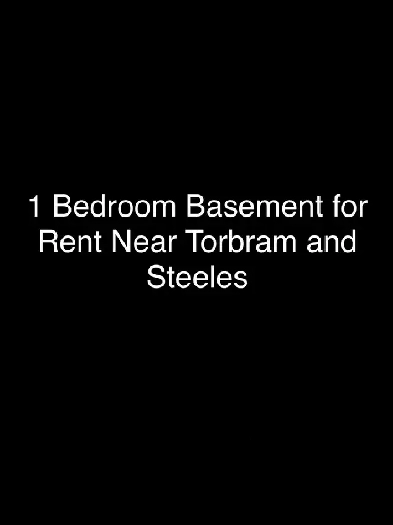 One Bedroom Basement for Rent near Torbram and Steeles