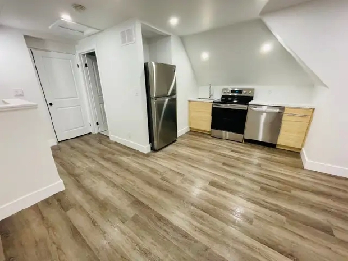 Modern 1 Bedroom Suite (Hamilton, Stipley)